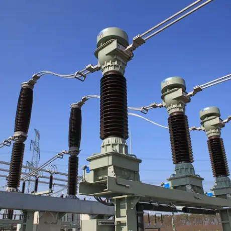 உயர் மின்னழுத்த 11kv மோல்டட் வெற்றிட குறுக்கீடு